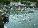 Porthleven inner harbour. 25 May 2003.